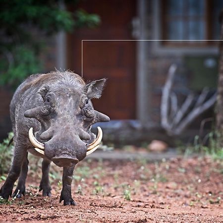 Tusk Bush Lodge Marloth Park Exterior photo