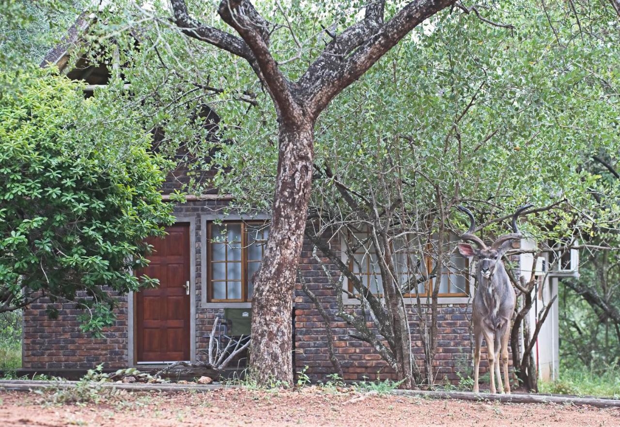 Tusk Bush Lodge Marloth Park Exterior photo